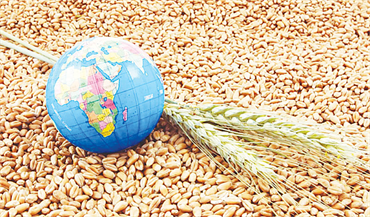 Đảm bảo an ninh lương thực bền vững phải là ưu tiên hàng đầu của các quốc gia