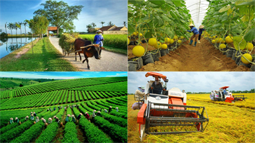 Phát triển bền vững nông nghiệp, nông thôn và nông dân qua 40 năm đổi mới - thực trạng và những vấn đề đặt ra (Phần 1)