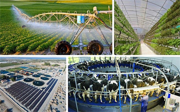 Một số yếu tố quốc tế tác động đến vấn đề nông nghiệp, nông thôn, nông dân giai đoạn 2021 - 2030
