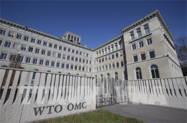WTO cảnh báo xu hướng lực lượng lao động giảm mạnh tại nhiều nước