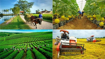Phát triển kinh tế hợp tác xã và vấn đề hoàn thiện thể chế đất đai trong nông nghiệp (phần 2)
