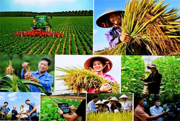 Nông dân Việt Nam có vai trò quan trọng trong sự nghiệp xây dựng và bảo vệ Tổ quốc