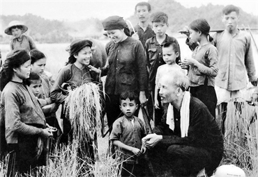 Quan điểm của chủ nghĩa Mác-Lênin  và tư tưởng Hồ Chí Minh về hợp tác xã nông nghiệp