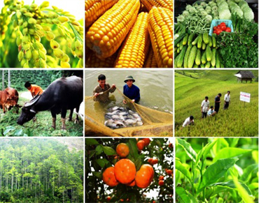 Cần một chính sách xây dựng thương hiệu sản phẩm góp phần thúc đẩy nông nghiệp Việt Nam phát triển