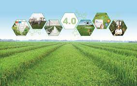 Phát triển khoa học và công nghệ, đổi mới sáng tạo trong xây dựng nông nghiệp sinh thái, nông thôn hiện đại, nông dân văn minh
