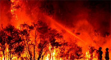 Cháy rừng nghiêm trọng trên thế giới: Lời cảnh báo từ sự biến đổi khí hậu