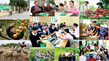 10 năm thực hiện Nghị quyết Trung ương 5 khóa X về một số vấn đề chính sách xã hội giai đoạn 2012-2020 tại Hà Nội    ​