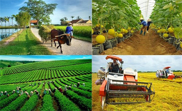 Quan điểm, định hướng, giải pháp phát triển bền vững nông nghiệp, kinh tế nông thôn và nông dân ở Việt Nam trong kỷ nguyên mới  ​