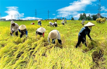 Toạ đàm khoa học “Một số vấn đề thực tiễn qua thực hiện Nghị quyết Trung ương 7 khóa X về nông nghiệp, nông dân, nông thôn và Nghị quyết Trung ương 5 khóa IX về kinh tế tập thể
