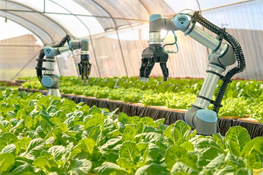 Trí tuệ nhân tạo: Cuộc cách mạng mới trong nông nghiệp?