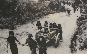Những đóng góp to lớn của phụ nữ Việt Nam trong Chiến dịch Điện Biên Phủ