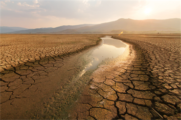 Phục hồi đất suy thoái - Chìa khóa đạt được các mục tiêu khí hậu và đa dạng sinh học