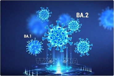 Anh sẽ nghiên cứu phát triển loại vaccine phòng ngừa các bệnh do virus corona gây ra trong tương lai