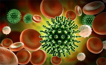 Nghiên cứu mới: Virus Corona đã gây đại dịch từ cách đây 20.000 năm