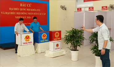 Triệu lá phiếu, một niềm tin