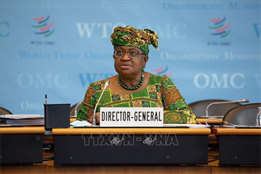 IMF và WTO cảnh báo những nguy cơ của phi toàn cầu hóa